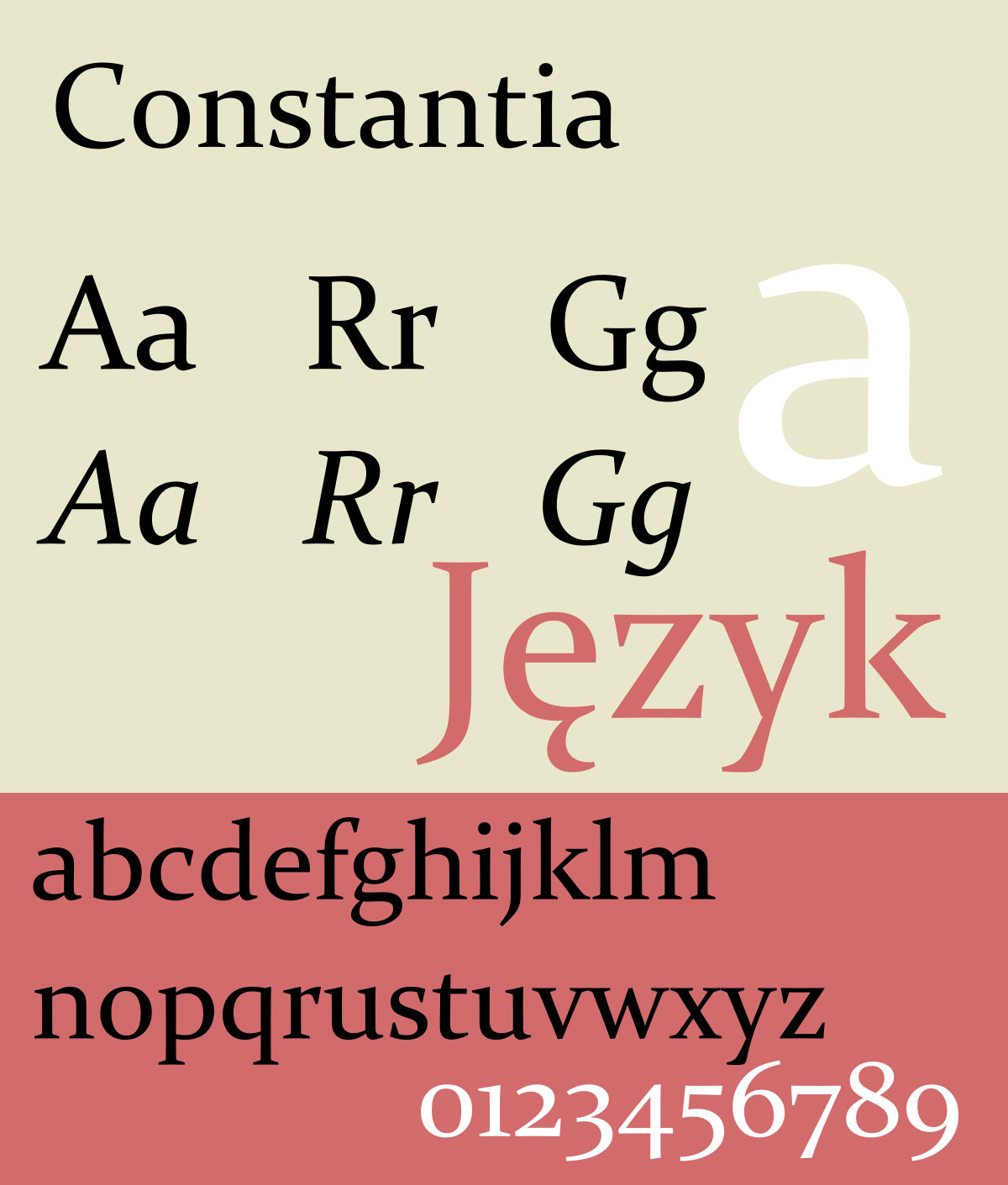 constantia - best font for CV or Resumes